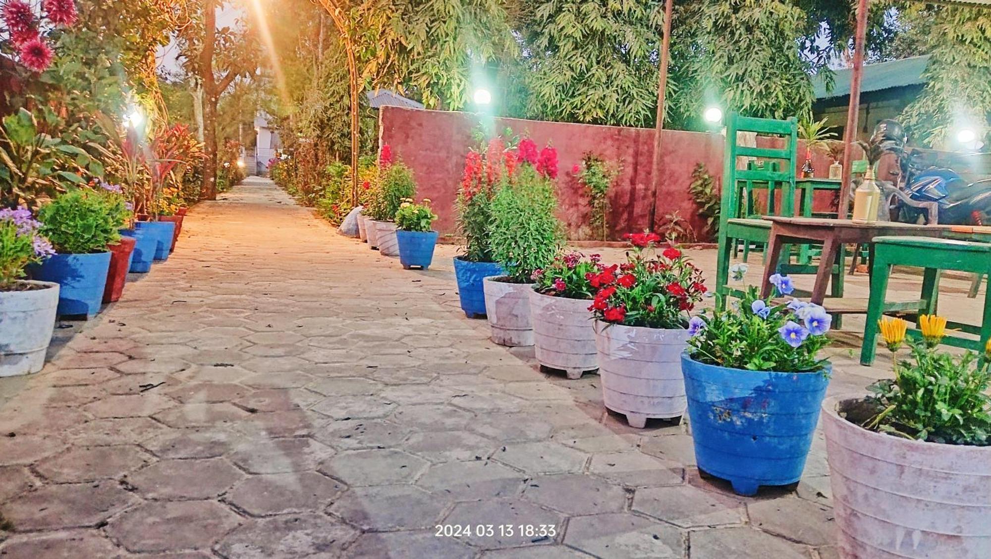 Hotel Butterfly - Peaceful Garden For Nature Lovers Sauraha Εξωτερικό φωτογραφία