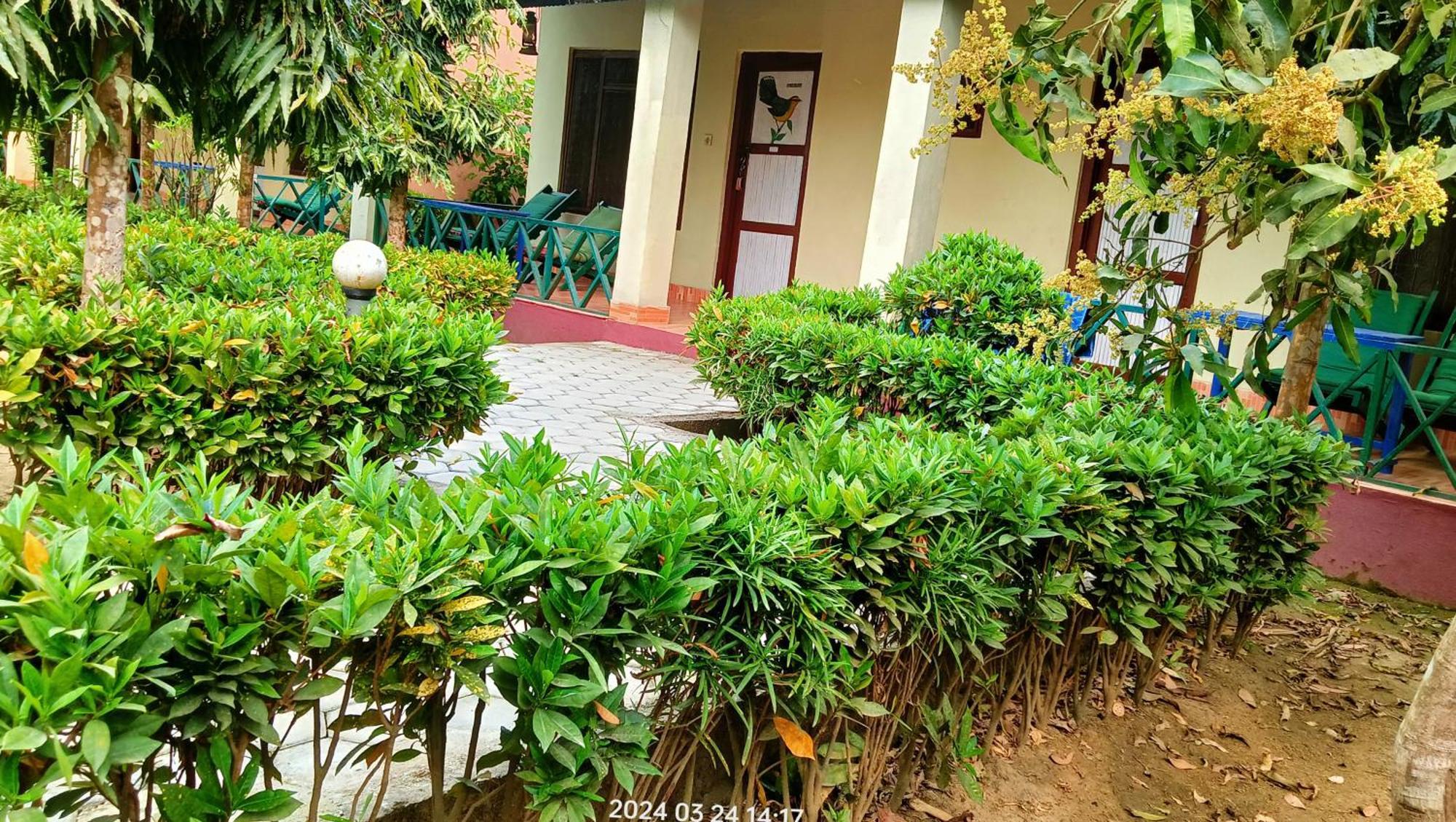 Hotel Butterfly - Peaceful Garden For Nature Lovers Sauraha Εξωτερικό φωτογραφία