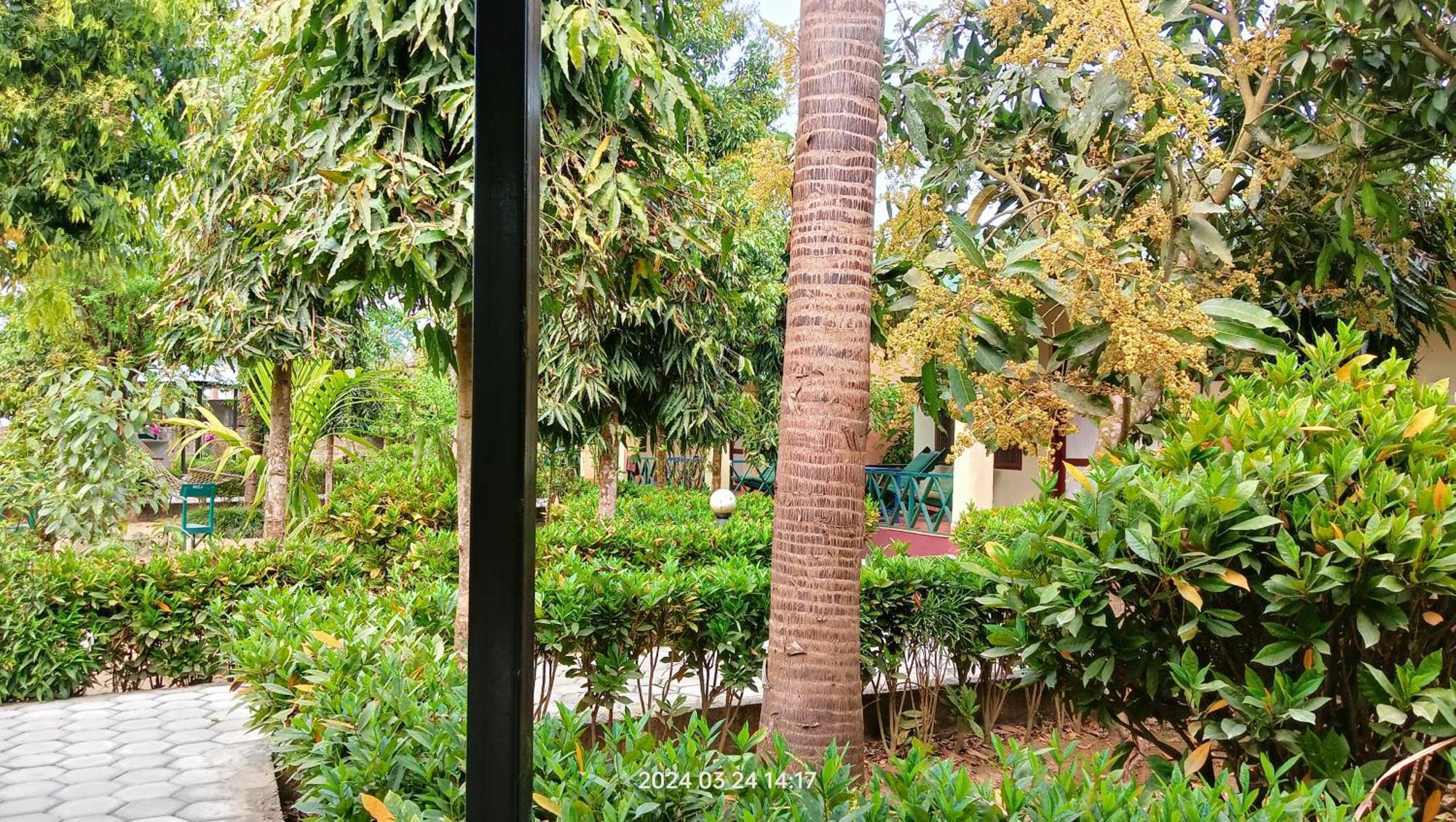 Hotel Butterfly - Peaceful Garden For Nature Lovers Sauraha Εξωτερικό φωτογραφία