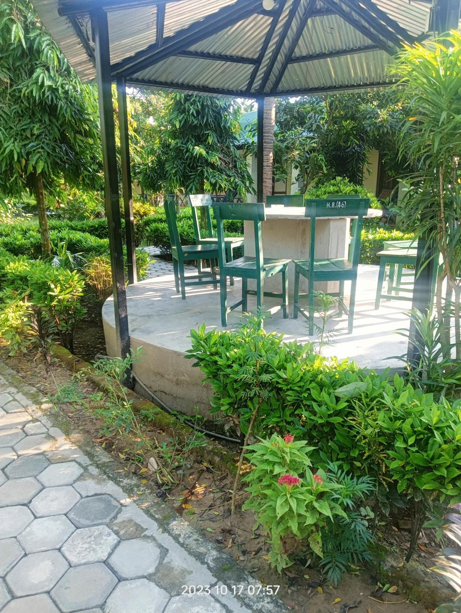 Hotel Butterfly - Peaceful Garden For Nature Lovers Sauraha Εξωτερικό φωτογραφία