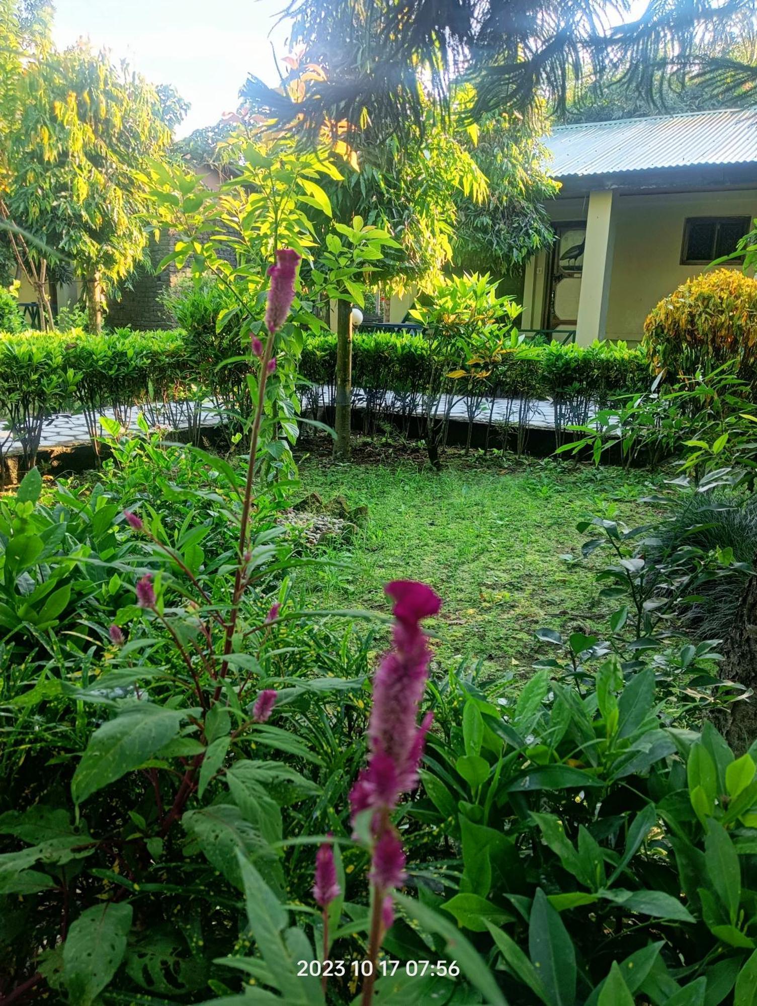Hotel Butterfly - Peaceful Garden For Nature Lovers Sauraha Εξωτερικό φωτογραφία