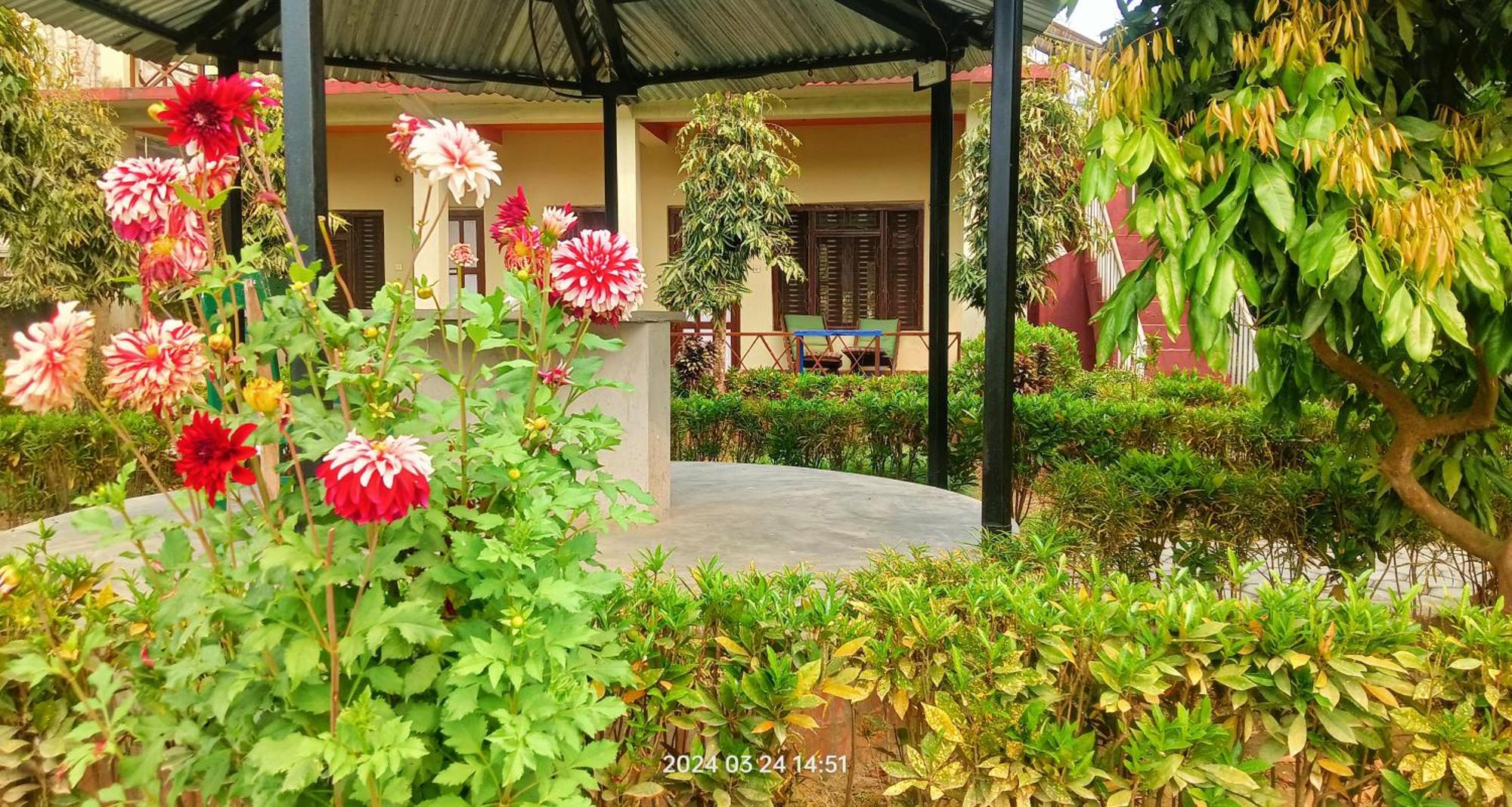 Hotel Butterfly - Peaceful Garden For Nature Lovers Sauraha Εξωτερικό φωτογραφία