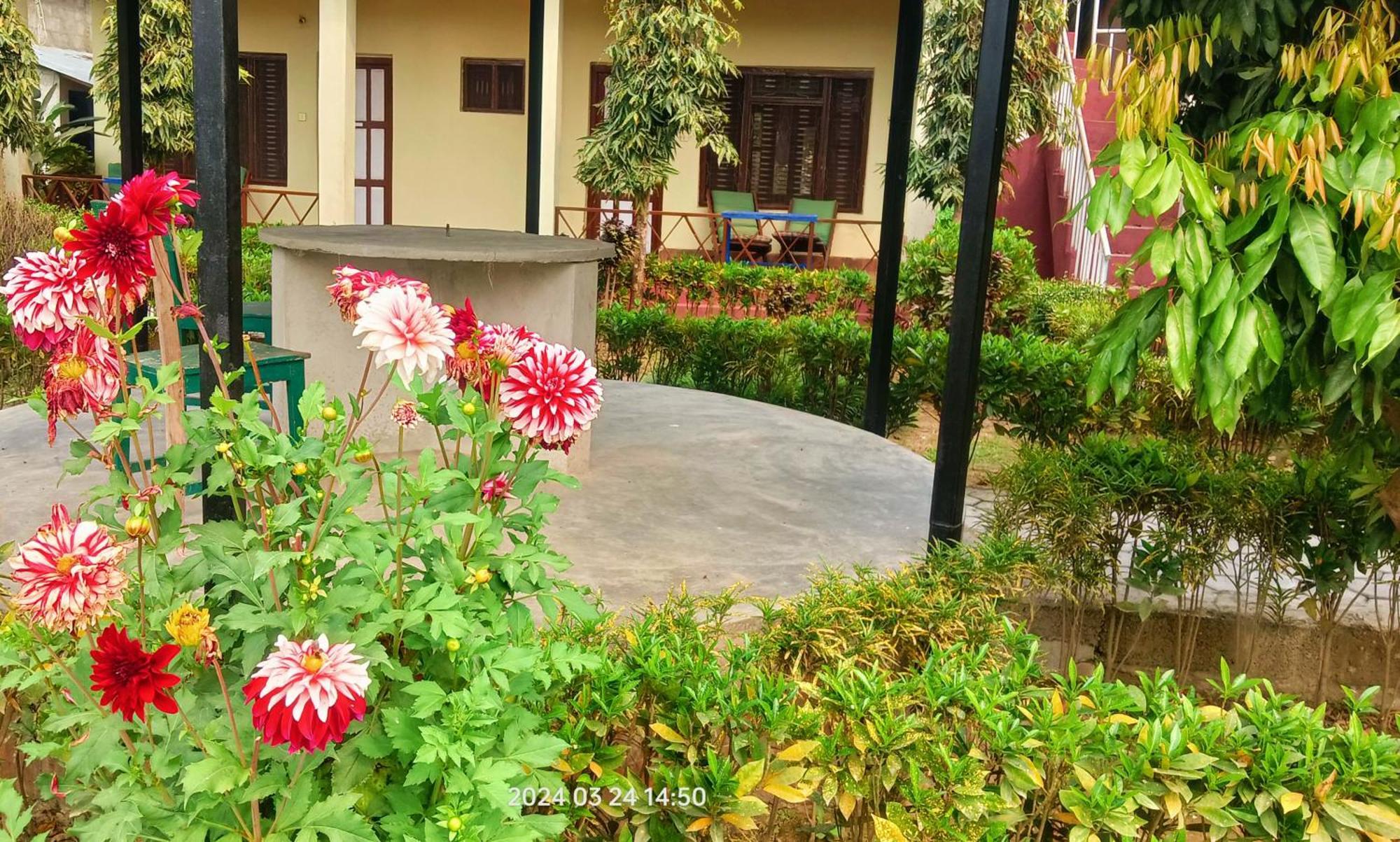 Hotel Butterfly - Peaceful Garden For Nature Lovers Sauraha Εξωτερικό φωτογραφία