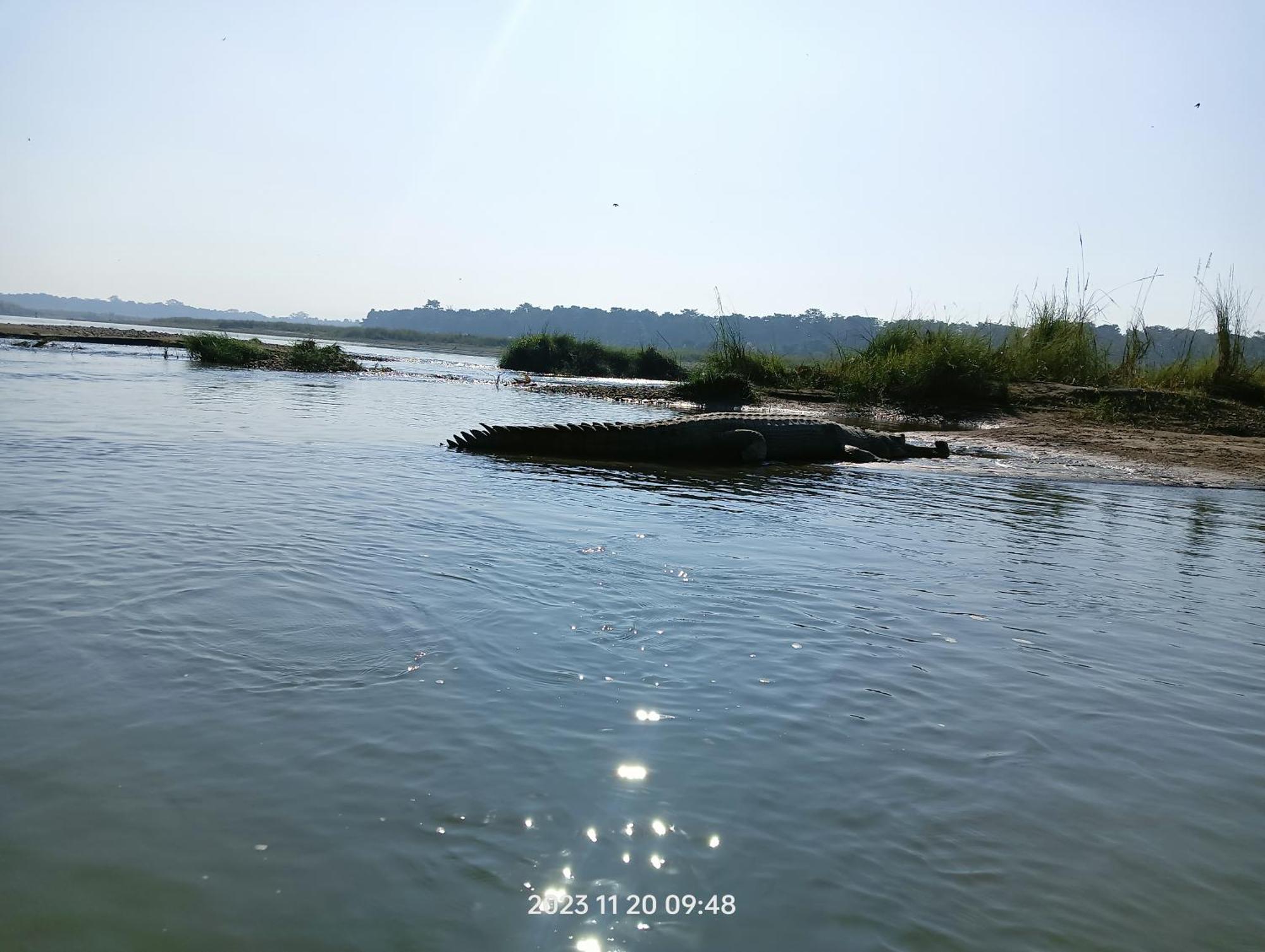 Hotel Butterfly - Peaceful Garden For Nature Lovers Sauraha Εξωτερικό φωτογραφία