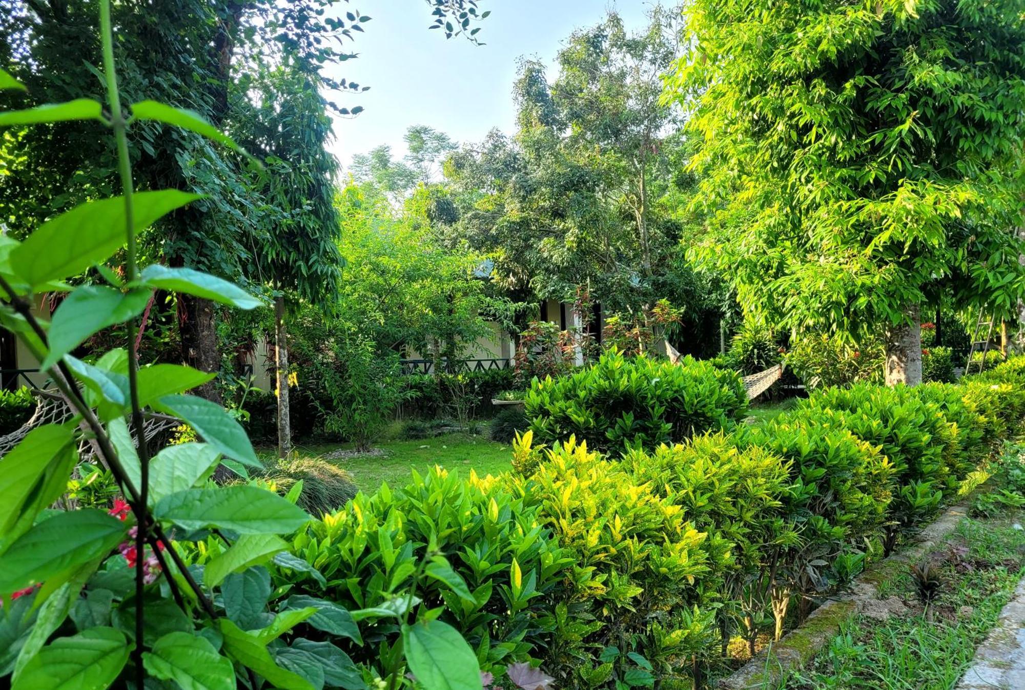 Hotel Butterfly - Peaceful Garden For Nature Lovers Sauraha Εξωτερικό φωτογραφία