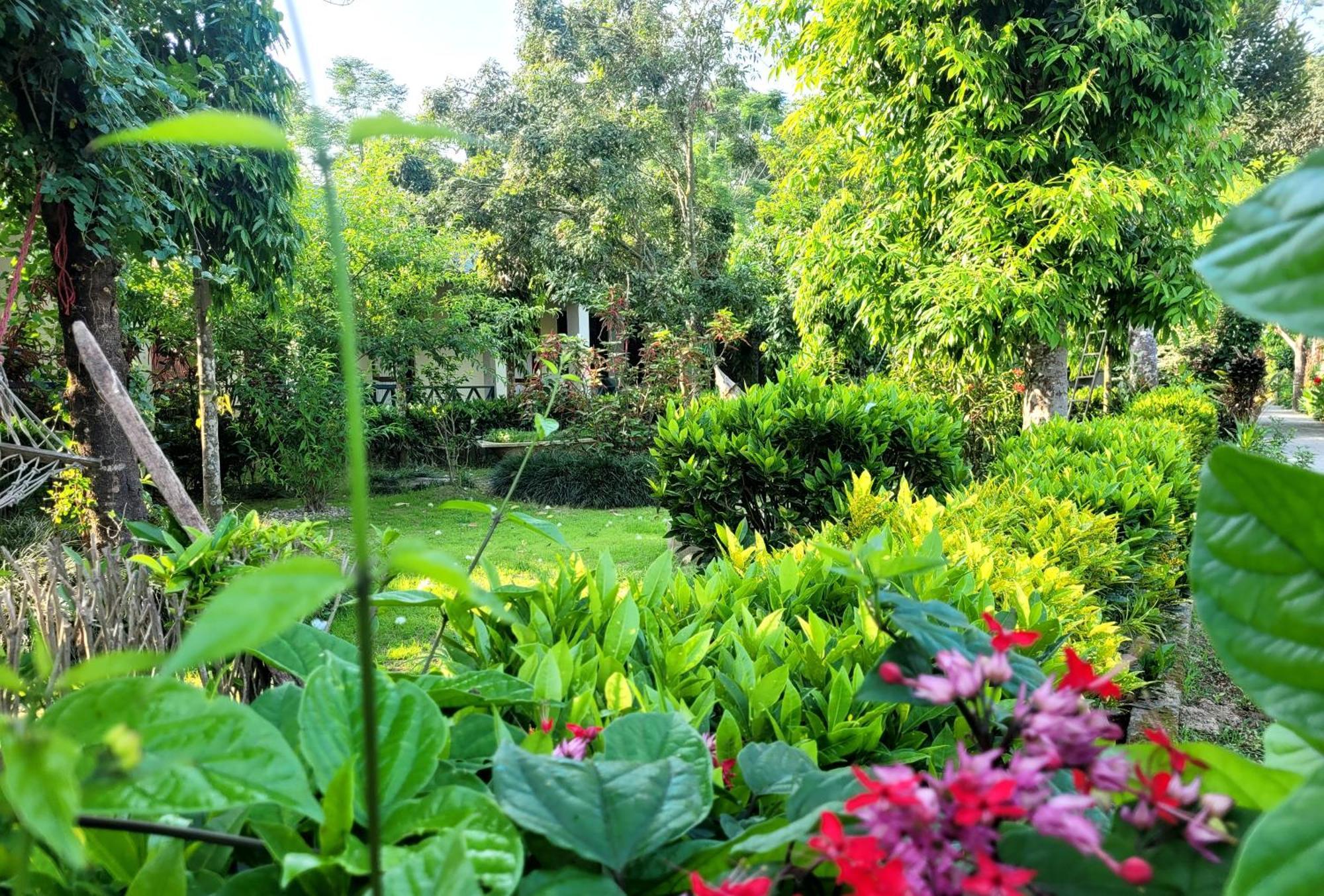 Hotel Butterfly - Peaceful Garden For Nature Lovers Sauraha Εξωτερικό φωτογραφία