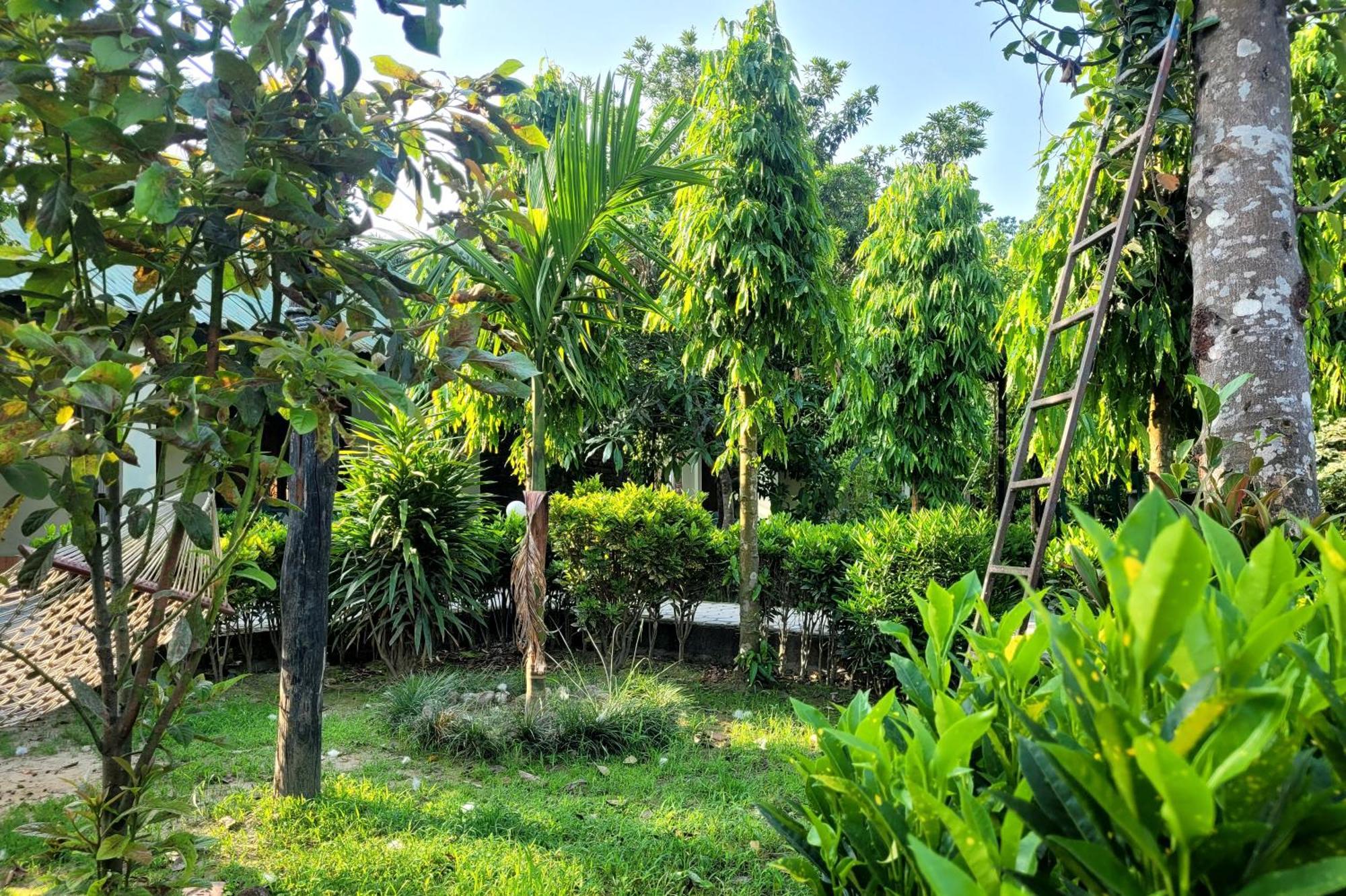 Hotel Butterfly - Peaceful Garden For Nature Lovers Sauraha Εξωτερικό φωτογραφία
