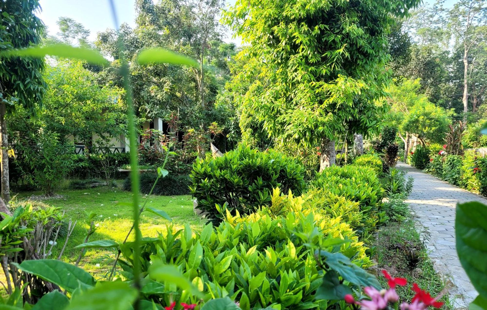 Hotel Butterfly - Peaceful Garden For Nature Lovers Sauraha Εξωτερικό φωτογραφία